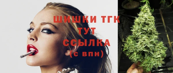 дживик Липки