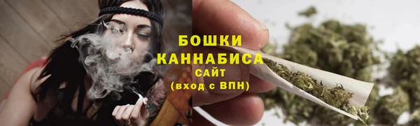 дживик Липки