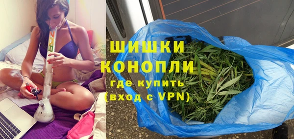 ГАЛЛЮЦИНОГЕННЫЕ ГРИБЫ Ладушкин