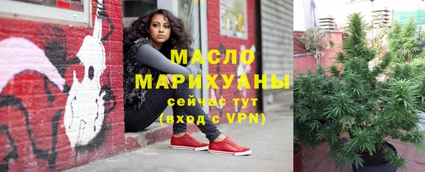 дживик Липки