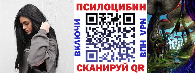 купить закладку  MEGA сайт  дарк нет какой сайт  Николаевск-на-Амуре  Псилоцибиновые грибы Psilocybine cubensis 